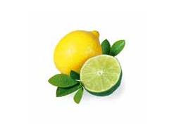 Citrus Limetka