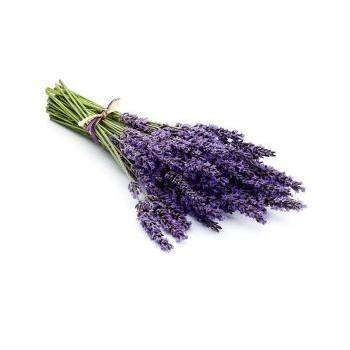 Levandula